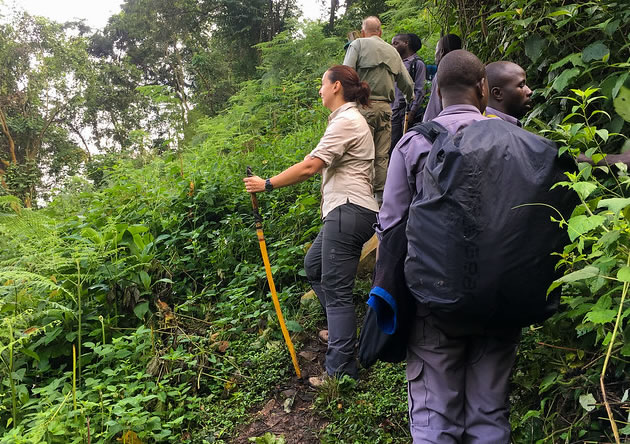 Trekking with the Gorillas in Uganda